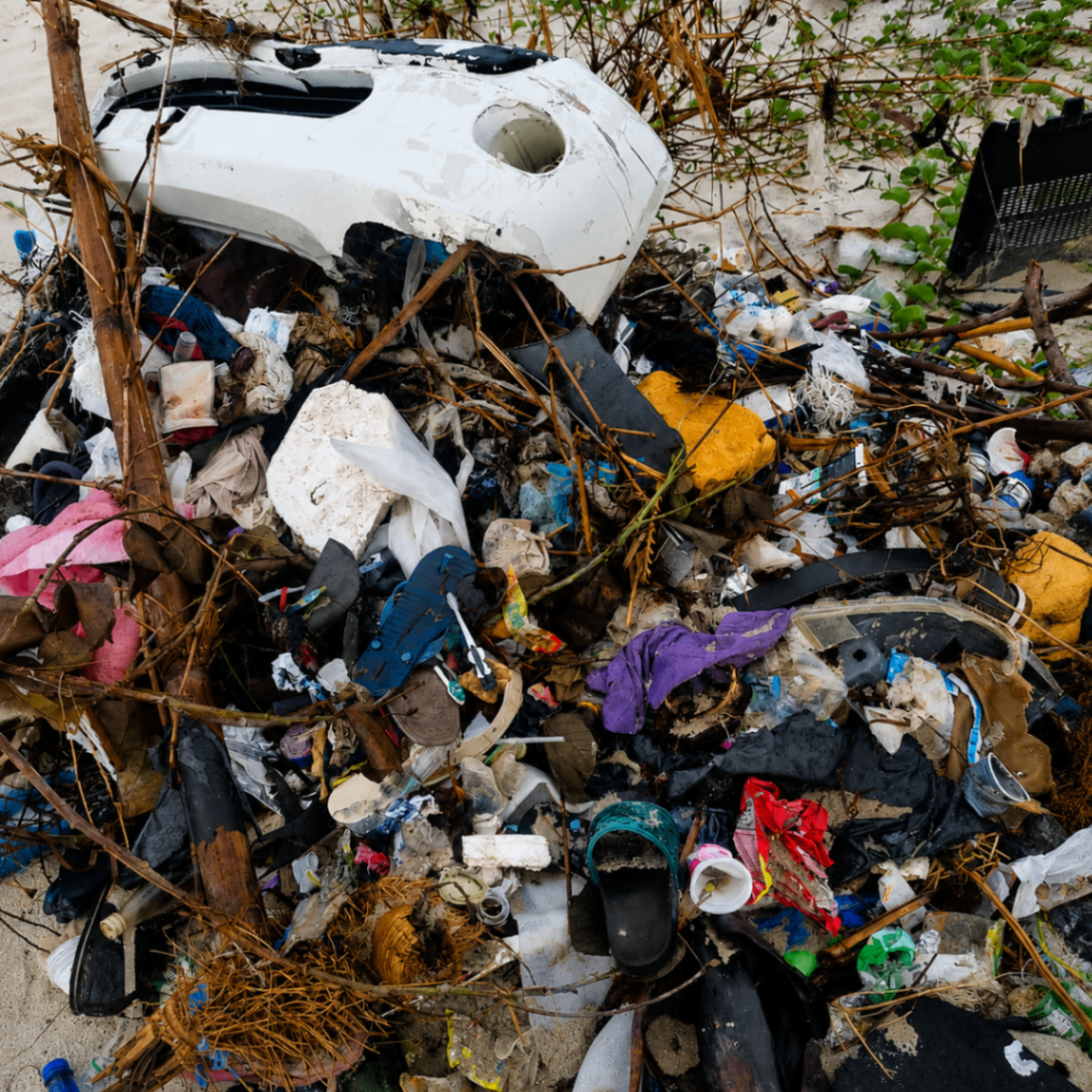 What washes ashore